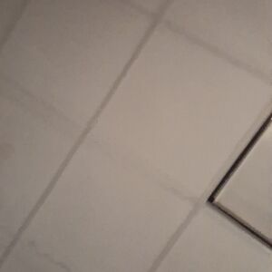 Meet your Posher, Misty